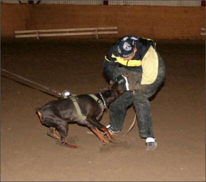 Training in Estonia 11/2007